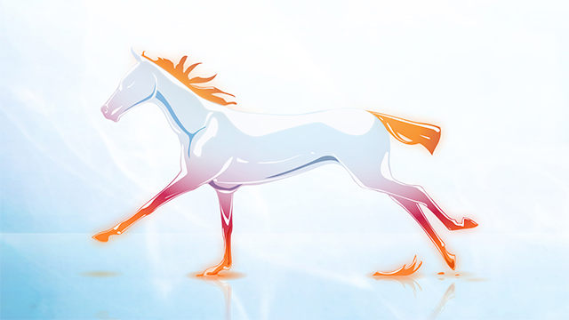 Glass Horse Art Direction