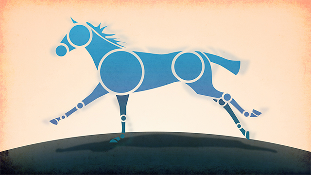 Muybridge Form Cycle Art Direction